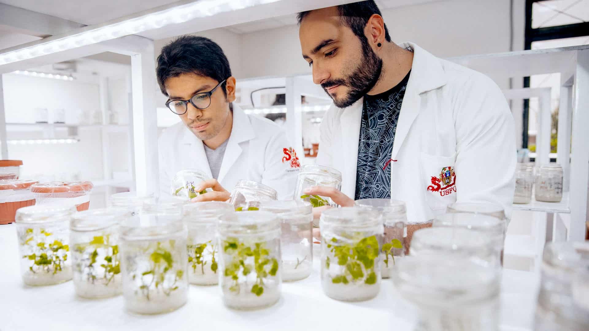 Carreras en biotecnología: salarios, oportunidades y futuro laboral